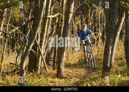 Frau Mountainbiker fährt bergab durch Wälder.; Seneca State Park, Gaithersburg Maryland Stockfoto