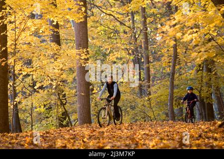 Frau, die mit dem Fahrrad durch Herbstblätter fährt.; Hesapeak und Ohio Canal Towpath, Cabin John, Maryland. Stockfoto