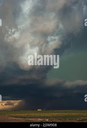 Der Himmel wird grün, während ein riesiger supercell-Aufgang über dem Ackerland im texanischen Panhandle thront; Texas, Vereinigte Staaten von Amerika Stockfoto