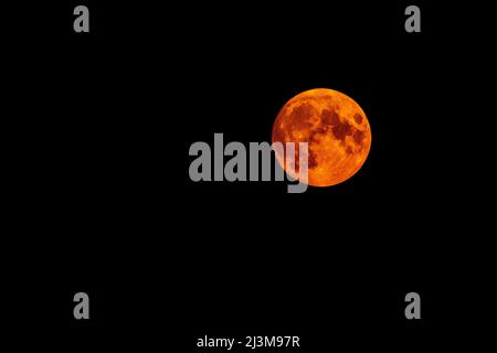 Leuchtender oranger Vollmond am schwarzen Himmel; Calgary, Alberta, Kanada Stockfoto