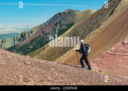 Weibliche Wanderer entlang eines felsigen Bergrückens mit Blick auf Berghänge mit blauem Himmel im Hintergrund, Waterton Lakes National Park Stockfoto