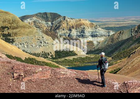 Weibliche Wanderer entlang eines felsigen Bergrückens mit Blick auf einen alpinen See und Bergketten mit blauem Himmel im Hintergrund, Waterton Lakes National Park Stockfoto