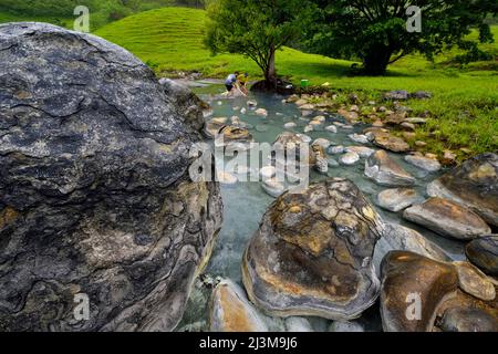 Fisch-Biologen sammeln Fische an einer Schwefelquelle, La Gloria in Tabasco, Mexiko. Stockfoto