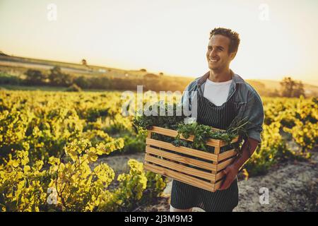 Genießen Sie die Früchte seiner Arbeit. Aufnahme eines jungen Mannes, der auf einem Bauernhof eine Kiste voller frisch gepflückter Produkte in der Hand hält. Stockfoto