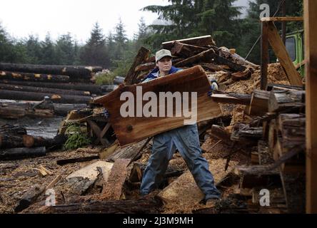 Eine Arbeiterin sortiert Holz, nachdem die Baumstämme gemahlen wurden. Nur wenige industrielle Zellstofffabriken sind noch offen, da die Holzindustrie in schwere Zeiten geriet. ... Stockfoto