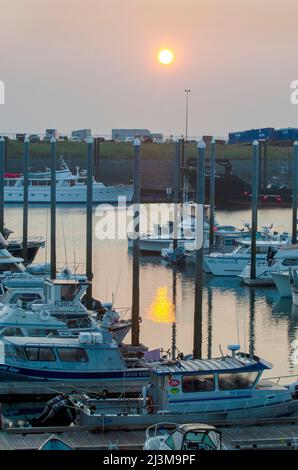 Die Morgensonne ist eine goldene Kugel, während Rauch von einem Waldfeuer nördlich der Kenai-Halbinsel das Licht am Hafen von Homer, Alaska, filtert Stockfoto