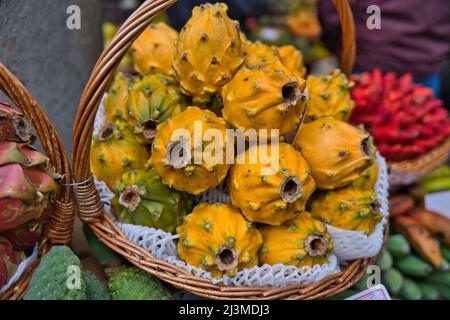 Frisch geerntete gelbe Pitaya, Pitahaya oder Drachenfrucht, Kaktusfrucht auf dem Markt in Funchal, Madeira, Portugal Stockfoto