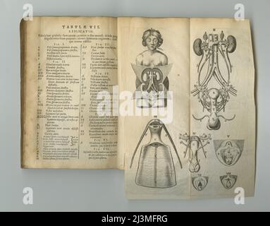 Medizinische Zeitschrift. Ein altes Anatomiebuch mit seinen Seiten auf dem Display. Stockfoto