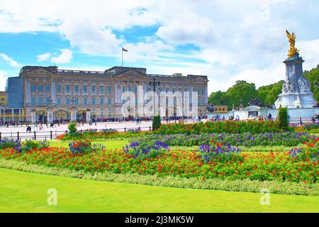 Blühende Pflanzen in den Buckingham Palace Memorial Gardens an schönen Sommertagen.London, Vereinigtes Königreich.Bild aufgenommen am 2021. August Stockfoto