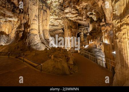 LURAY, VA/USA - 31. März 2022: 'Giant Redwood Tree' Formation in Luray Caverns, Luray, Virginia. Stockfoto