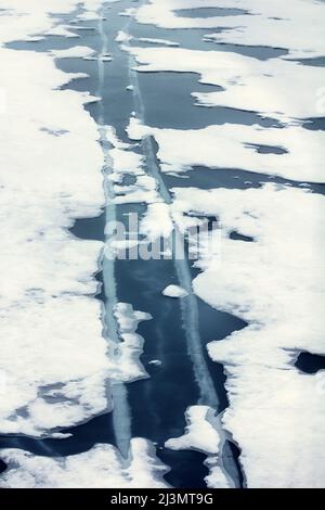 Glaziologische Studien, Kühlriß: Zwei parallele Risse in einem jährlichen Eis. Arktischer Ozean. Nordpol (2016). Draufsicht. Stockfoto