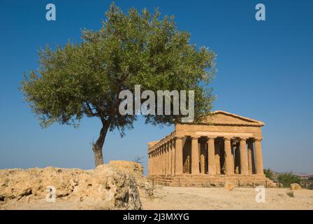 dorischer Tempel der Concord im Tal der Tempel und Olivenbaum Stockfoto