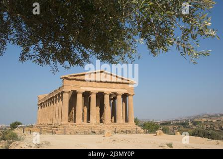 dorischer Tempel der Concord im Tal der Tempel und grünen Olivenzweige Stockfoto