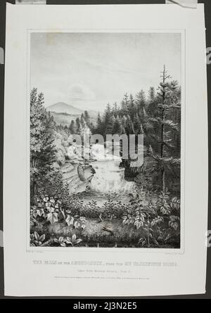 Die Wasserfälle am Amonoosauck, in der Nähe des Mt. Washington House (Oakes' White Mountain Scenery), 1848. Stockfoto