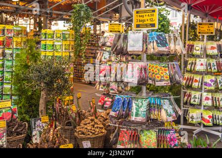 Amsterdam, Niederlande, April 2022. Ausstellungen von Blumenzwiebeln auf dem Blumenmarkt in Amsterdam. Hochwertige Fotos Stockfoto