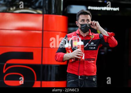 Melbourne, Australien. 8. April 2022. Andrea Ferrari (Scuderia Ferrari), F1 Grand Prix of Australia auf dem Melbourne Grand Prix Circuit am 8. April 2022 in Melbourne, Australien. (Foto von HIGH TWO) Quelle: dpa/Alamy Live News Stockfoto