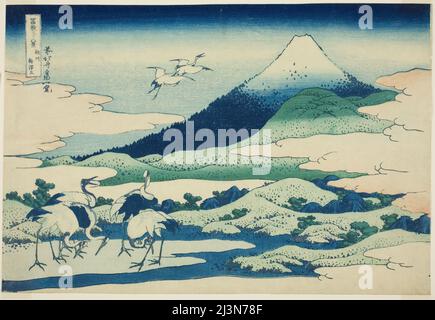 Umezawa Marsh in der Provinz Sagami (Soshu Umezawa hidari), aus der Serie „36 Ansichten des Mount Fuji (Fugaku sanjurokkei)“, Japan, c.. 1830/33. Stockfoto