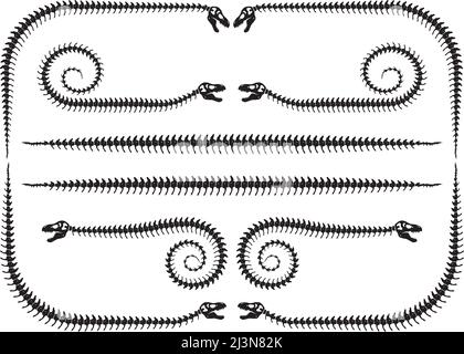 Dinosaurier Knochen Seite Separator Dekoration auf weißem Hintergrund Stock Vektor