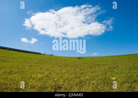 Grüner Rasen und himmelblau mit weißer Wolke Stockfoto