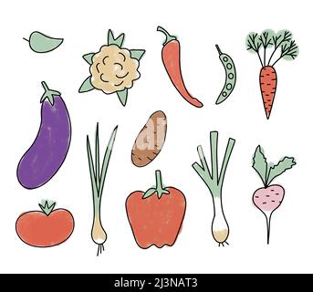 Handgezeichnete Illustration von Bio-Gemüse, Karotten-Kartoffel-Tomate Lauch Radieschen Auberginen Blumenkohlbsen. Markt natürliche Lebensmittel Gemüse Ernährung in weichen Pastellfarben Stockfoto