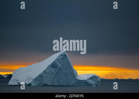 Tagesanbruch im Antarktischen Kreis, mit Eisbergen um die Marguerite Bay südlich der Avian Island, Antarktis Stockfoto