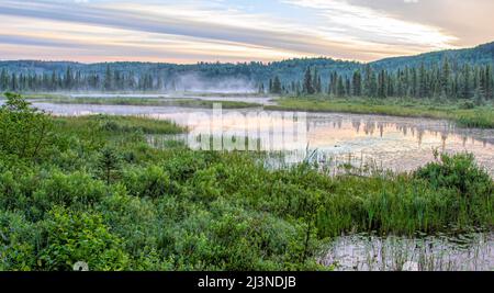 Herbstmorgen entlang Costello Creek im Algonquin Park, Kanada Stockfoto