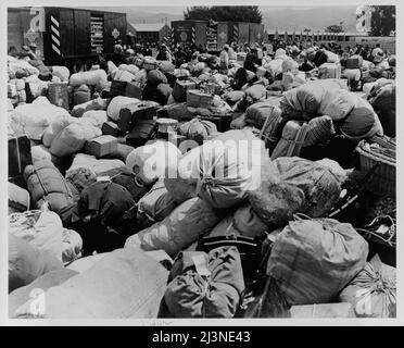 Umzug in Japan, Kalifornien. Gepäck von Evakuierten japanischer Abstammung in einem Versammlungszentrum in Salinas, Kalifornien, vor einem Kriegsverlierungsbehörde-Zentrum. Stockfoto