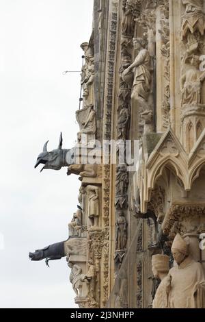 Wasserspeier in Form eines Nashorns und anderer exotischer Tiere an der Westfassade der Kathedrale von Reims (Cathédrale Notre-Dame de Reims) in Reims, Frankreich. Stockfoto