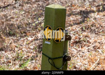 Ein einzelner Holzpfosten mit Fußwegschildscheiben mit gelben Richtungspfeilen auf einer schwarzen Basis, der nach links und rechts zeigt, weicher Fokusboden dahinter Stockfoto