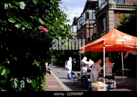 Shanghai, China. 9. April 2022. Medizinische Mitarbeiter werden an einer Nukleinsäureteststelle in einer Gemeinde in Shanghai, Ostchina, gesehen, 9. April 2022. Quelle: Zhang Jiansong/Xinhua/Alamy Live News Stockfoto