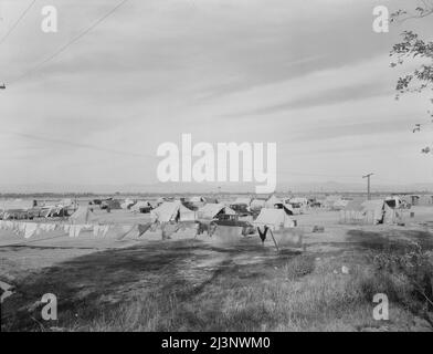 Autocamp nördlich von Calipatria, Kalifornien. Etwa achtzig Familien aus der Dust Bowl werden hier gezeltet. Sie zahlen fünfzig Cent pro Woche. Die einzige verfügbare Arbeit ist jetzt die landwirtschaftliche Arbeit. Stockfoto