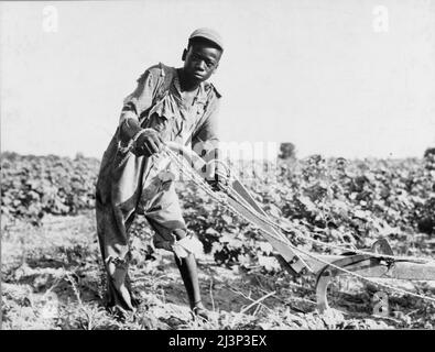 Dreizehnjähriger Pächter-Junge in der Nähe von Americus, Georgia. Stockfoto