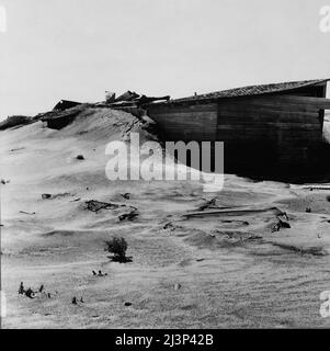 Verlassene Farm. Coldwater District, nördlich von Dalhart, Texas. Stockfoto