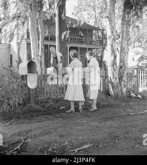 Morgenpost auf der Farm Mineral King, Farm Security Administration, Tulare County, Kalifornien. Altes Ranchhaus, kalifornischer Art, im Hintergrund. Gebäude werden durch moderne Strukturen ersetzt, die für die Landwirtschaft in der Gemeinschaft geeignet sind. Stockfoto