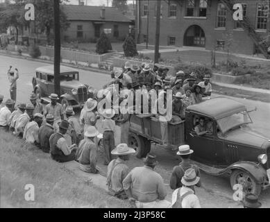 Baumwolle wird in Memphis, Tennessee, für die tägliche Arbeit in Arkansas geladen. Stockfoto