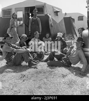 Westley, Kalifornien. Migrantenfamilie im Lager der Farm Security Administration. Aufgrund des Arbeitsüberschusses in der Hauptsaison kann keine Arbeit auf Erbsen-Feldern geleistet werden. Stockfoto