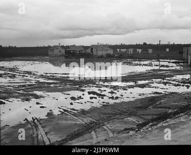 Kern County, Kalifornien. Wanderarbeiter in Winterquartieren. Stockfoto