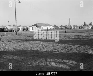 Farm Security Administration (FSA). Wanderarbeitslager während der Erbsenernte. Brawley, Imperial Valley, Kalifornien. Stockfoto