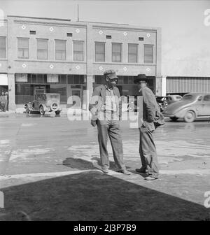 Calipatria, Imperial Valley. Untätige Erbsenpflücker diskutieren die Aussichten auf Arbeit. Kalifornien. Stockfoto