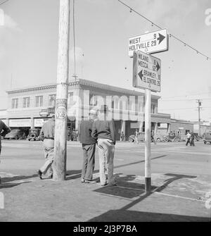 Calipatria, Imperial Valley. Untätige Erbsenpflücker diskutieren die Aussichten auf Arbeit. Kalifornien. Stockfoto