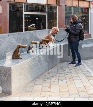 Lustiges Bild eines echten Hundes, der neben Statuen von Hunden als Armlehnen auf Sitzen im Albion Place sitzt, während der eigene Telefon benutzt, Leeds City Center, West Yorkshire Stockfoto