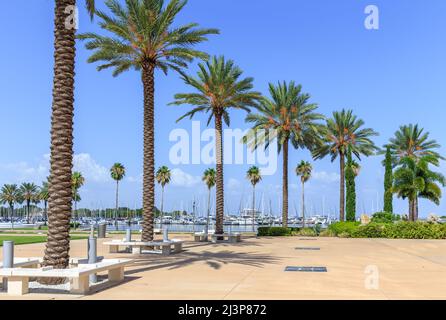 Bucht mit Yachten in St. Petersburg, Florida, USA Stockfoto