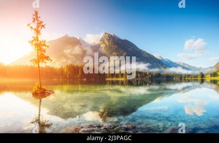 Blick auf türkisblaues Wasser und Szene von Bäumen auf einem Rock Island am Hintersee. Lage berühmten Resort Nationalpark Berchtesgadener Land, Ramsau, Bava Stockfoto