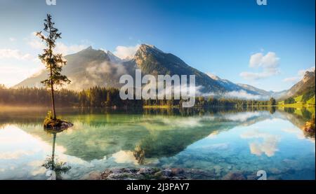 Blick auf türkisblaues Wasser und Szene von Bäumen auf einem Rock Island am Hintersee. Lage berühmten Resort Nationalpark Berchtesgadener Land, Ramsau, Bava Stockfoto