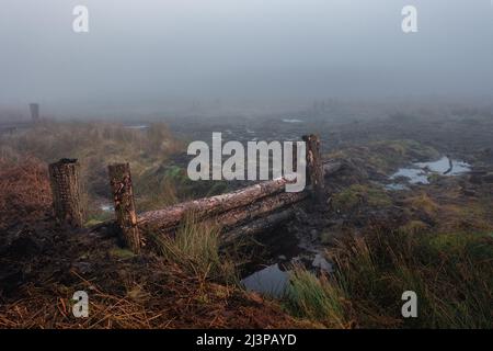 Barrieren zur Blockierung der Entwässerungsgräben auf Ilkley Moor zur Regeneration der Torfmoore und des Sphagnum-Moos, West Yorkshire, England, Großbritannien Stockfoto