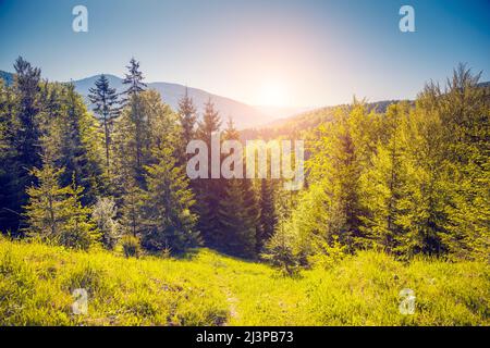 Eine tolle Aussicht auf die Berge Glühen durch Sonnenlicht in der Dämmerung. Dramatische und malerischen Morgen Szene. Ort: Karpaten, Ukraine, Europa. Künstler Stockfoto