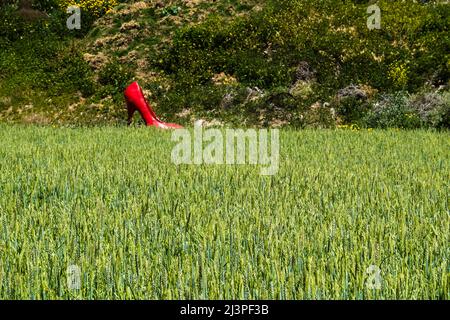 Eine rote, überlebensgroße, Stiletto-Heel-Schuhkunstinstallation für Frauen in einer agrarischen Landschaft im Santa Barbara County, Kalifornien. Stockfoto