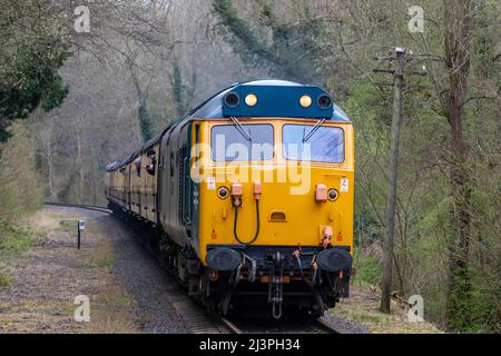 BR-Klasse 50 50035 Ark Royal Diesel. Motor auf der Severn Valley Railway in der Haltestelle Country Park in Shropshire, Großbritannien Stockfoto