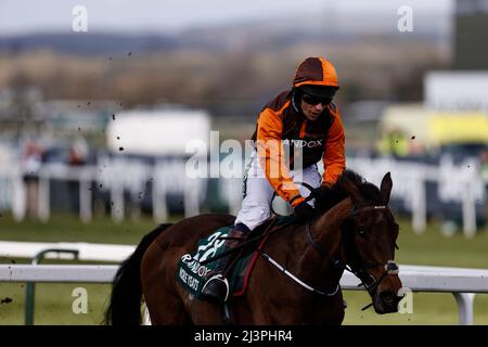 Aintree Racecourse. 9. April 2022. Aintree, Merseyside, England: Grand National Festival, Tag 3: Sam Waley-Cohen auf Noble Yeats überquert die Ziellinie, um den Randox Grand National 2022 zu gewinnen. Kredit: Aktion Plus Sport/Alamy Live Nachrichten Stockfoto