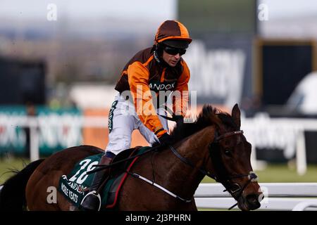 Aintree Racecourse. 9. April 2022. Aintree, Merseyside, England: Grand National Festival, Tag 3: Sam Waley-Cohen auf Noble Yeats überquert die Ziellinie, um den Randox Grand National 2022 zu gewinnen. Kredit: Aktion Plus Sport/Alamy Live Nachrichten Stockfoto